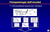 Nessun titolo diapositiva - Ematologia Brescia · EMOLISI INTRAVASCOLARE Emoglobina Emoglobina + aptoglobina Eme + globina Epatociti Eme Eme + emopexina Eme + albumina Hb Filtro glomerulare