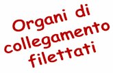 140 - Organi di Collegamento Filettati x pdf.ppt [modalità ...consuelorodriguez.it/wp-content/uploads/2017/05/5c-Organi-di... · Rif. Bibliografici: - E. Chirone, S. Tornincasa ,