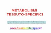 metabolismi - fisiokinesiterapia.biz · metabolismo dell’Etanolo • E’ un alcol a elevato contenuto energetico (7kcal/g), intermedio fra quello dei glucidi e dei lipidi, ...