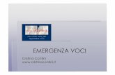 Contini - Savona 2011 - Parla con le voci · Una strategia non finalizzata a ricostruire ... (l’etimologia della parola trauma è quella di ferita) così nell’emergenza voci è