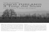 Note sul progetto GnoS FuRlanIS Il Timp dal Sium Furlanis, Il... · re che assomma passato, presente e futuro, sog-gettività e “tuffo nel tutto”. Per concludere, mi piace pensare