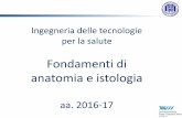 Ingegneria delle tecnologie per la salute - UniBG · anatomia e istologia aa. 2016-17 . Anatomia umana Edizione italiana a cura di Fabrizio Michetti MCKINLEY - O'LOUGHLIN Data di