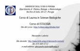 UNIVERSITA’ DEGLI STUDI DI PERUGIA · Ai cicli biogeochimici globali concorrono cicli biogeochimici locali , che tuttavia sono tipicamente non perfetti, dal momento che trasferiscono