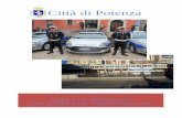 Città di Potenza - Il Portale Istituzionale · Città di Potenza U.D. Polizia Locale - Protezione Civile Carta dei servizi _____ Via Nazario Sauro -85100 Potenza