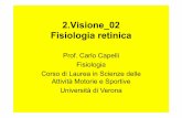2.Visione 02 Fisiologia retinica - Carlo Capelli · • Fotorecettori (coni e bastoncelli) • Pigmenti visivi e fototrasduzione • Interazioni transinaptiche: ruolo e funzione delle
