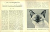 Come vedono gli albini - download.kataweb.itdownload.kataweb.it/mediaweb/pdf/espresso/scienze/1974_072_3.pdf · sulle vie nervose ottiche dei gatti compiuto presso la Scuola Medica