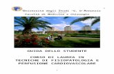 Università degli Studi “G - Pescara 2008_2009...  · Web viewConservazione dell’energia meccanica. Fluidi ideali e reali: ... Word Processor, Foglio ... il suo razionale generico