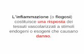 L’infiammazione (o flogosi - Omeroomero.farm.unipi.it/matdidFarm/74/FLOGISFparte1.pdf · •Nella istoflogosi i fenomeni vasculo-essudativi sono molto attenuati, mentre prevale