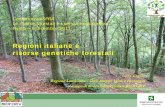 Conferenza ISPRA Le risorse forestali e i servizi ... · condizioni ecologiche sufficientemente uniformi e sui quali si trovano soprassuoli o fonti di semi sufficientemente omogenei