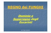 REGNO dei FUNGHI - IC San Giovanni Bosco · panificazione. prof. Filippo Quitadamo 38 Phylum Basidiomiceti: 15.000 specie I Basidiomiceti comprendono i funghi pi ...