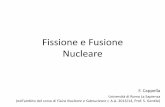 Fissione e Fusione Nucleare - roma1.infn.it · Energia Nucleare La curva dell’energia di legame per nucleone ha un massimo per i nuclei medi (gruppo del Fe) ... •Si fornisce al