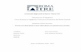 Università degli studi di Roma “Roma Tre” · Dipartimento di Ingegneria Civile dell’Università degli Studi Roma Tre. Il lavoro svolto, propedeutico allo svolgimento della