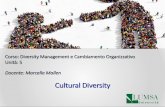 Corso: Diversity Management e Cambiamento Organizzativo ... _5.pdf · Ad esempio la Francia ha un’inidenza della popolazione straniera più bassa della nostra ... Riflessioni L’Italia