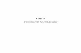 Cap. 9 FISSIONE NUCLEARE - Dipart.Energeticaenrg55.ing2.uniroma1.it/download/178/lezioni_fn_09.pdf · 3 Meccanismo della fissione Bohr e Wheeler (1939) – interpretazione basata