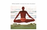 Vibhuti padah: la sezione dei poteri straordinari · • dhyana(m) = dhyana o Z [meditazione (è). ... Non è ben chiaro perché Patanjali abbia concluso il Sadhana-pada con la descrizione