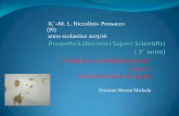 IC «M. L. Niccolini» Ponsacco (PI) anno scolastico 2015/16 · Elementi salienti dell’approccio metodologico le 5 fasi del metodo costruttivistico dei LSS: ... Il mais aveva solo