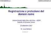 Registrazione e protezione del domain name - Chi siamo - UGIVIugivi.org/wp-content/uploads/2017/09/2017_-BARBERO-Registrazione-e... · promozione e la vendita del vino e degli altri