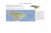Introduzione - xoomer.virgilio.itxoomer.virgilio.it/tudobrasil/Il Brasile.pdf · Introduzione Brasile (República Federativa do Brasil), repubblica federale dell'America meridionale.