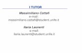 Massimiliano Cattafi - unife.it · • Può svolgere le esercitazioni a casa (ma in lab c’è ... per esercitarvi a casa potete richiedere una copia di MS Visual Studio 2005 in licenza