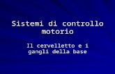 Sistemi di controllo motorio - Axada Catania – Per Aspera ad Astra · PPT file · Web view2016-07-08 · Sistemi di controllo motorio Il cervelletto e i gangli della base Cervelletto