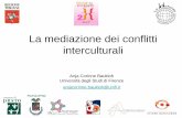 La mediazione dei conflitti interculturali - lemafalde.org dei... · Micro. Livello interpersonale . ed interprofessionale Conflitti nella cooperazione di unità operative, al interno