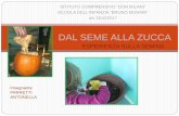 DAL SEME ALLA ZUCCA - donmilani.prato.gov.it · esperienza sulla semina dal seme alla zucca istituto comprensivo “don milani” scuola dell’infanzia “bruno munari” a/s 2016/2017