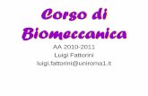 Corso di Biomeccanica - - Università degli Studi di Cassino · A che serve la Biomeccanica nelle scienze motorie e ... articolare. Il grado di tensione muscolare ... e quindi ad