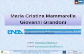 Maria Cristina Mammarella Giovanni Grandoni - ENEA — it · Titolo e contenuto della presentazione _____ Roma 23-24 Gennaio 2014 GLI IMPATTI DELL’INQUINAMENTO ATMOSFERICO SUGLI