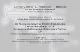 Conservatorio “L. Marenzio” – Brescia - padova2 BN.pdf · dedicati all’analisi, alla generazione e all’elaborazione del suono e ... per l’esecuzione delle opere classiche),