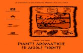 PIANTE AROMATICHE ED AIUOLE FIORITE - Cassano Magnagocassanomagnago.legambiente.org/files/2014/09/piante_aromatiche.pdf · 1) CENNI DI ECOLOGIA ... Le piante perenni vivono per diversi