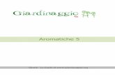 LE PIANTE AROMATICHE - giardinaggio.org · una densità di 1,5-2 piante/mq. Il ciclo di coltivazione del rosmarino ha una durata di 8-10 anni. Il controllo
