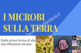 I MICROBI SULLA TERRA - d1ys487h6fvpnd.cloudfront.netd1ys487h6fvpnd.cloudfront.net/microbiologia/pdf/i-microbi-sulla... · Le stromatoliti sono rocce sedimentarie di natura calcarea.