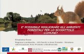 E’ POSSIBILE MIGLIORARE GLI AMBIENTI FORESTALI PER … · Uno dei fattori che possono limitare la diffusione dello scoiattolo comune è l’idoneità ambientale ... scoiattolo rosso,