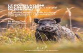 LE POPOLAZIONI DI CINGHIALE (Sus scrofa) IN EUROPA · Introduzione 9 Un articolo sulla letteratura scientifica sul cinghiale in Europa 11 ... PALEONTOLOGIA BIOLOGIA DELLA RIPRODUZIONE