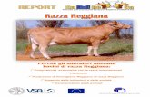 Perchè gli allevatori allevano bovini di razza Reggiana · na, nell’area di Parma e Reggio Emilia, sono ripor- ... allevamenti di sole vacche reggiane in cui il latte è utilizzato