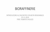 BIORAFFINERIE - itisforli.it · •Il gruppo Mossi&Ghisolfi (Tortona), gigante del Pet (è il terzo produttore mondiale) ... A queste biomasse si affianca l’Arundo donax, la comune