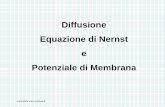 Diffusione Equazione di Nernst e Potenziale di Membrana 2008-2009/potenziale di membrana... · 2011-12-04 · La genesi di questa d.d.p. è legata all’esistenza di un ... Oltre