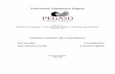 Università Telematica Pegaso - INFERMIERIFORENSITRENTO euge/tesi/TESI ARMA BIANCA.pdf · 3 LESIONI CONTUSIVE DA ARMA BIANCA Per arma bianca si intende convenzionalmente qualsiasi