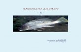 Dizionario del Mare Dizionario del Mare ---- C CC C .Dizionario del Mare Dizionario ... Edgardo Di