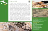 Ragusa - Trekking Urbano · percorsi che toccano le tappe e i luoghi spirituali che un tempo venivano visitati da: viandanti, devoti e pellegrini. Partendo dal Santuario della Madonna