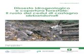 Dissesto idrogeologico e copertura forestale: il ruolo dei ... · questo Quaderno fornisce indicazioni gestionali utili alla gestione di tali cedui invecchiati, minimizzandone gli