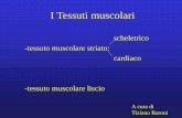 I Tessuti muscolari - Libero Communitydigilander.libero.it/histology/07 I Tessuti muscolari.pdf · -tessuto muscolare striato: cardiaco-tessuto muscolare liscio A cura di Tiziano