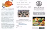 brochure master Dietetica e Nutrizione Clinica 2016-17 · Title: Microsoft Word - brochure master Dietetica e Nutrizione Clinica 2016-17.docx Created Date: 20160626152324Z