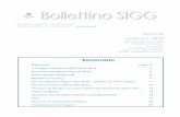 Anno IX numero 1-2012 - sigg.it · SETTORE SCIENTIFICO DISCIPLINARE DI NURSING Coordinatore Nicoletta Nicoletti (Torino) Ermellina Zanetti (Brescia) ... Gianfranco Salvioli (Modena)
