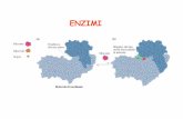ENZIMI - s9d402aad80a10255.jimcontent.coms9d402aad80a10255.jimcontent.com/.../module/5874889863/name/ENZIMI.pdf · Gli enzimi sono caratterizzati da tre proprietàdistintive: 1. CAPACITA’CATALITICA