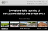 Evoluzione delle tecniche di coltivazione delle piante ... · Evoluzione delle tecniche di coltivazione delle piante ornamentali Francesco Paolo Nicese Pistoia, 13 giugno 2017 Dipartimento