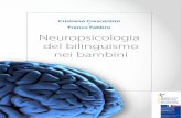 Cristiano Crescentini ISBN 978-88-7342-209-9 e Franco ... · Il cervello bilingue dei bambini ... da lesioni cerebrali successive all’acquisizione del linguaggio.2 Recen- ... Durante