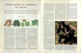 Alimentazione ed evoluzione dei primati - download.kataweb.itdownload.kataweb.it/mediaweb/pdf/espresso/scienze/1993_302_7.pdf · ne delle strategie che questi animali ave-vano adottato