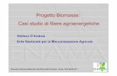 Progetto Biomasse: Casi studio di filiere agroenergetiche · Il progetto ha l’obiettivo di fornire agli utilizzatori dati certi e ... Impianto di cogenerazione da biogas con teleriscaldamento