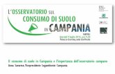 Il consumo di suolo in Campania e l’importanza dell’osservatorio … · Il consumo di suolo in Campania e l’importanza dell’osservatorio campano Anna Savarese, Vicepresidente